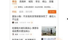 青岛新闻投稿爆料网站,聚焦岛城热点，共筑舆论监督桥梁